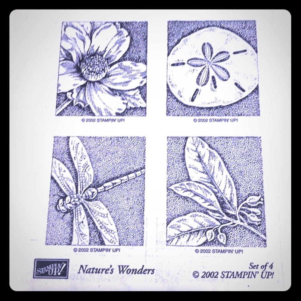 Stampin up. Nature’s wonders. 2002